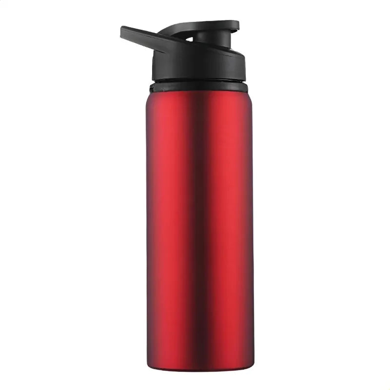 Stainless Steel Sports Water Bottle  Matte Finish Leakproof Bottle for Gym, Travel & Daily Use